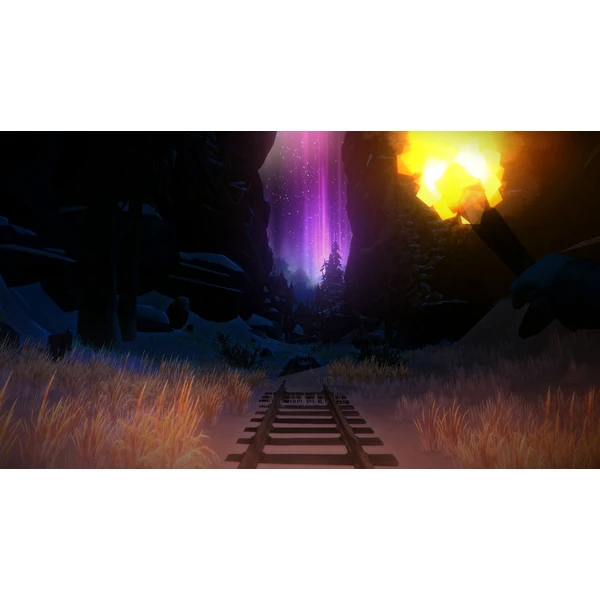 The Long Dark (PS4) - Hry pro PS4 - Obrázek VO95100201