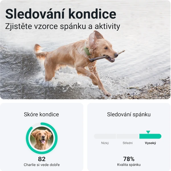 Tractive GPS DOG XL tracker polohy a aktivity pro psy zelený - GPS moduly - Obrázek VTX2000701