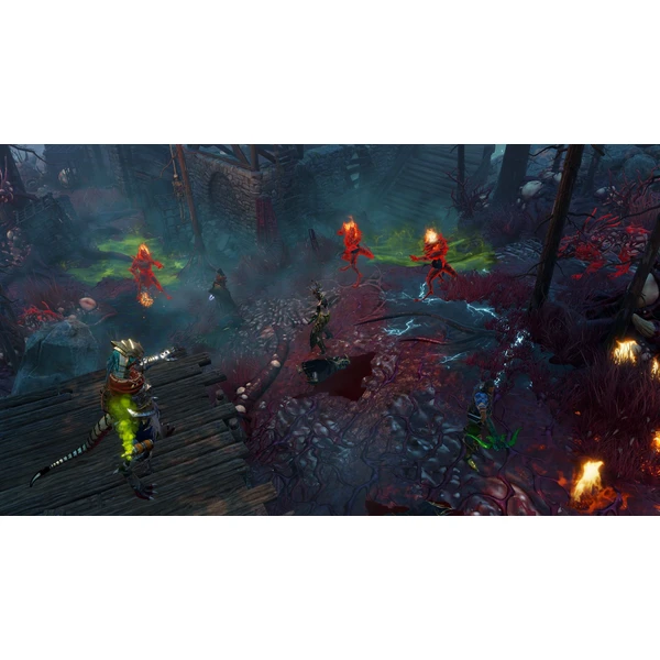 Divinity: Original Sin 2 Definitive Edition (PS4) - Hry pro PS4 - Obrázek W0Q3100201
