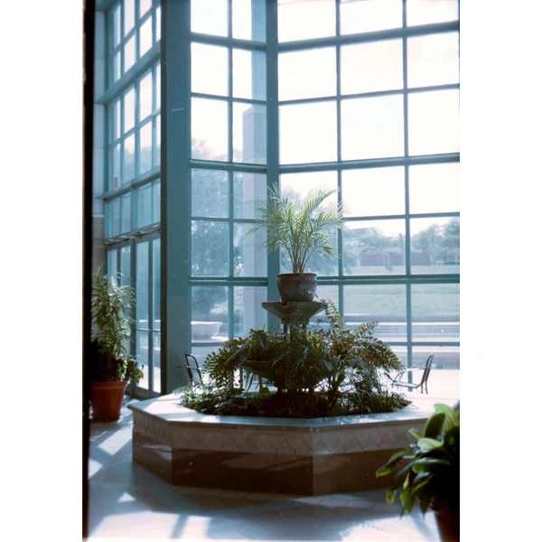 Fujifilm Color 400/135 barevný kinofilm (36 snímků) - Kinofilmy - Obrázek W1SE000K01