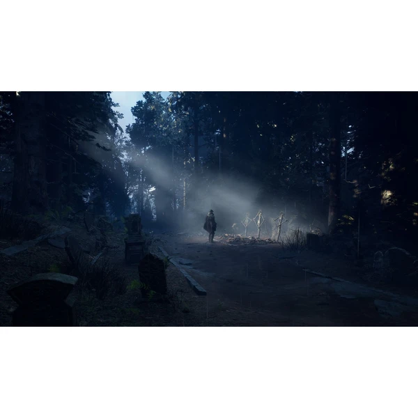 Hell is Us (PS5) - Hry pro PS5 - Obrázek W4GH000L01