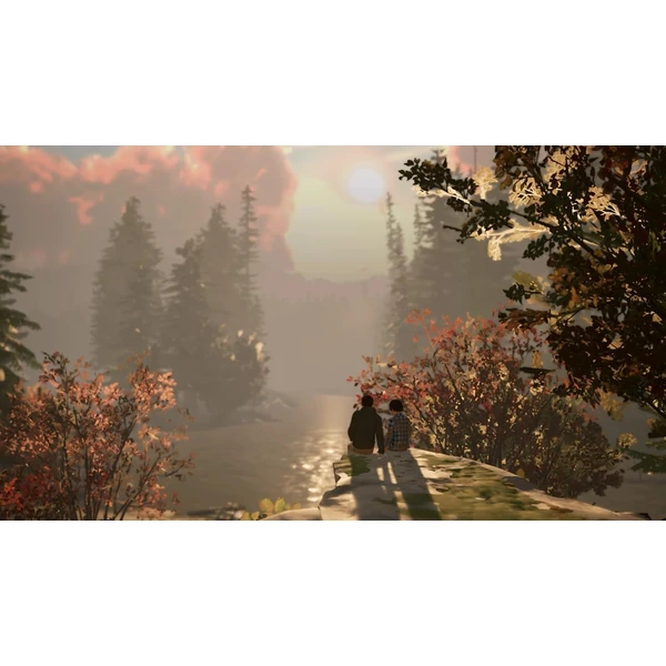 Life is Strange 2 (Code in Box)(Switch) - Hry pro Nintendo Switch - Obrázek W5XG000K01