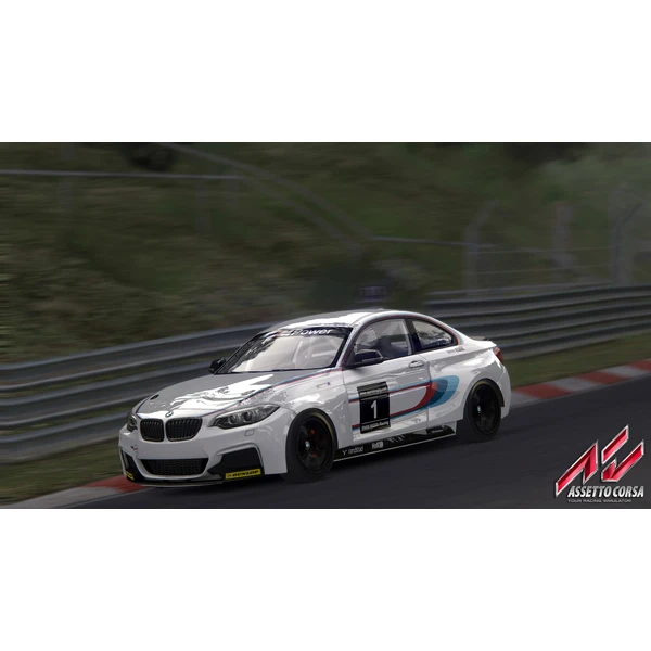 Assetto Corsa: Ultimate Edition (PS4) - Hry pro PS4 - Obrázek W8PH100201