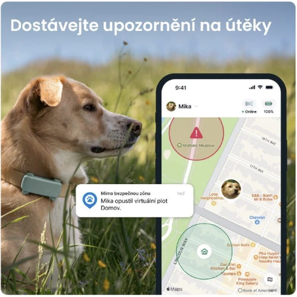 Tractive GPS DOG 6 lokátor polohy a aktivity pro psy mátový - GPS moduly - Obrázek WBTD000L01