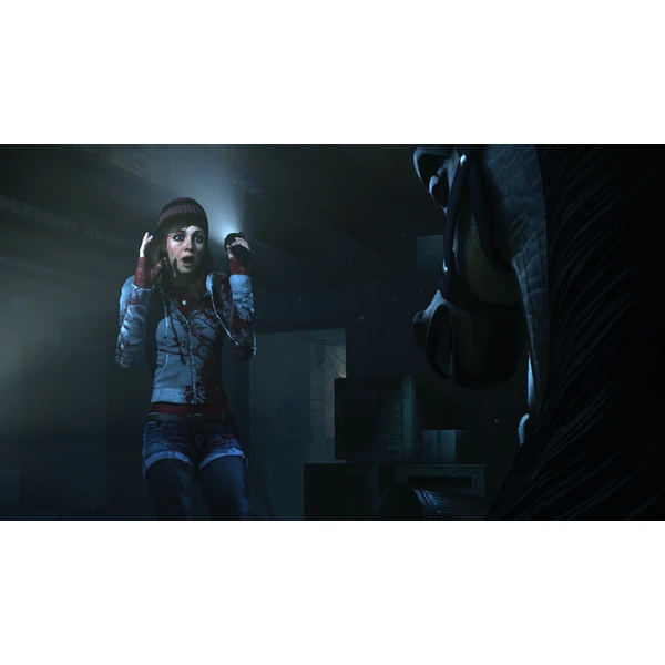 Until Dawn (PS4) - Hry pro PS4 - Obrázek WER4100201