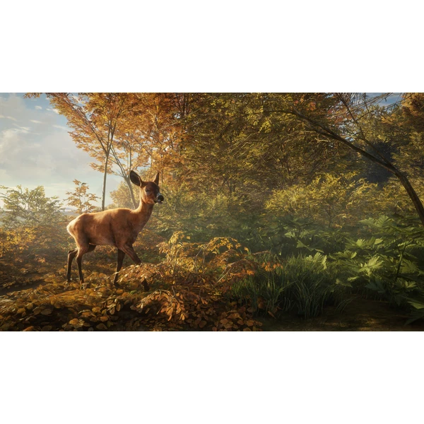 theHunter: Call of the Wild (Xbox One) - Hry pro Xbox One - Obrázek WJX3100201
