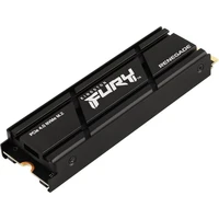 Kingston FURY Renegade M.2 SSD 500GB chladič - SSD disky