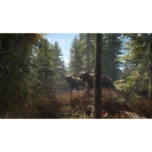 The Hunter: Call of the Wild 2019 Edition (PS4) - Hry pro PS4 - Obrázek WYXPF00101