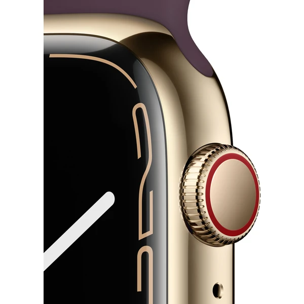 Apple Watch Series 7 Cellular 45mm ocel - Chytré hodinky - Obrázek WYZZ000501