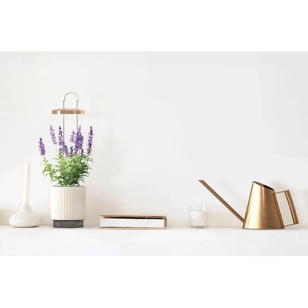 Click and Grow Smart Garden 1 HydroVase by Ermonix chytrý květináč bílý - Květináče - Obrázek WZ9J000K01