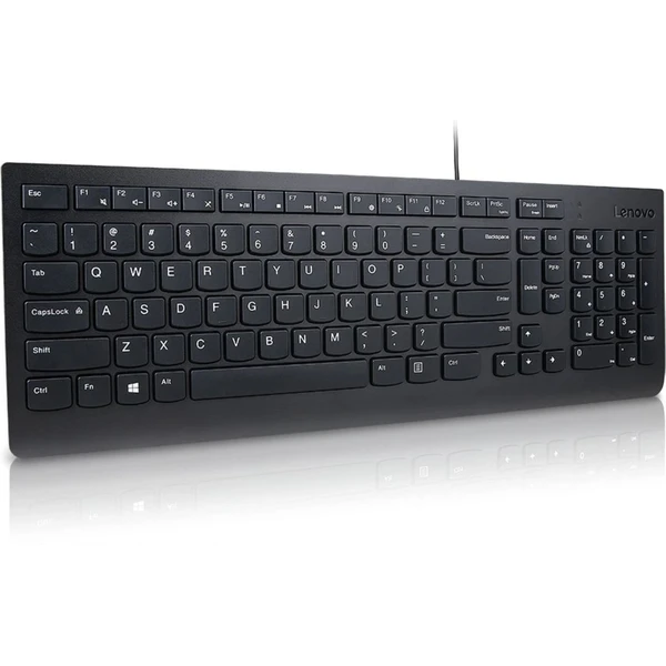 Lenovo Essential klávesnice CZ/SK černá - Klávesnice - Obrázek X0FD000N01