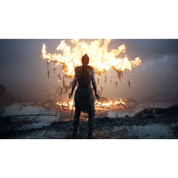 Hellblade: Senua’s Sacrifice (PS4) - Hry pro PS4 - Obrázek X1Z3100201