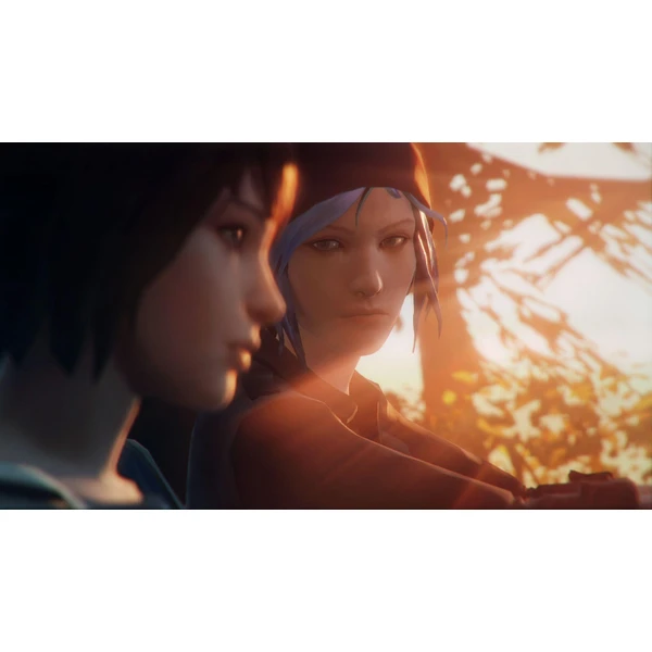 Life is Strange bez bonusu (PS4) - Hry pro PS4 - Obrázek X285100201