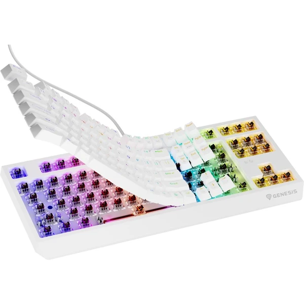 Genesis THOR 230 TKL RGB mechanická klávesnice bílá Outemu Brown - Klávesnice - Obrázek X2I5000O01