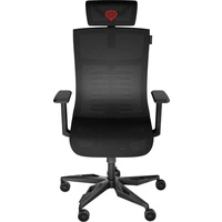Genesis ASTAT 700 G2 ergonomická židle černá - Židle
