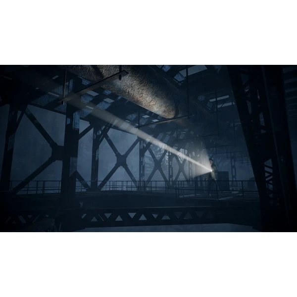 Alan Wake Remastered (PS4) - Hry pro PS4 - Obrázek XGAS600301