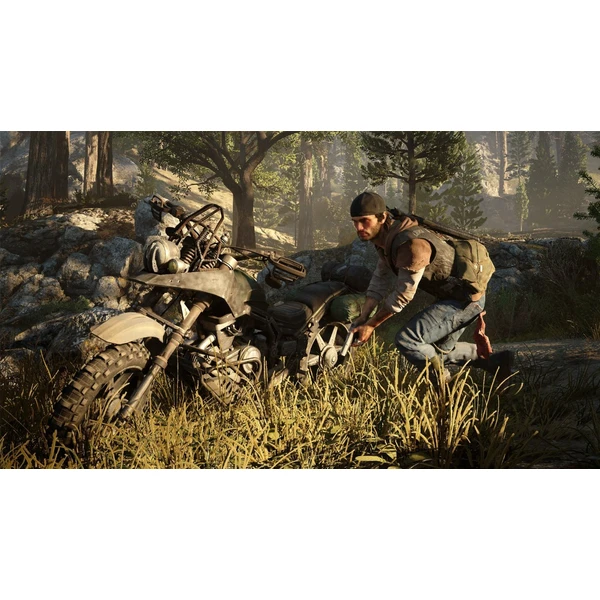 Days Gone (PS4) - Hry pro PS4 - Obrázek XSI3100201
