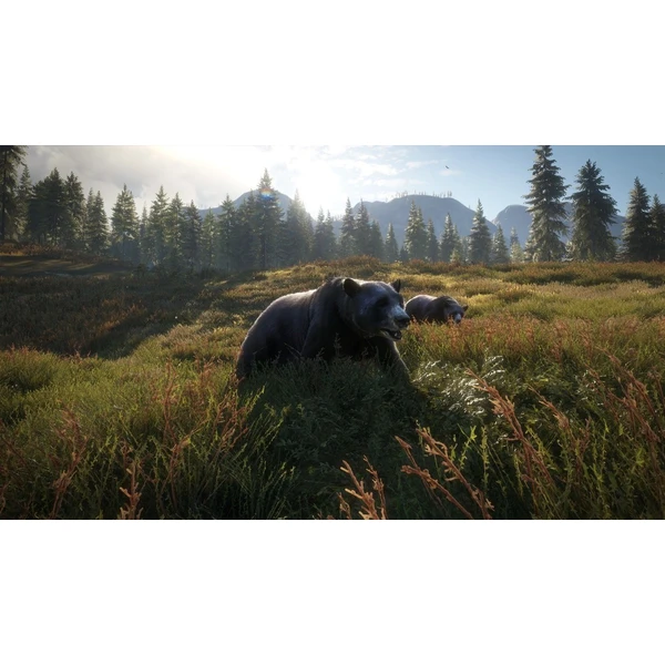 The Hunter: Call of the Wild 2019 Edition (PS4) - Hry pro PS4 - Obrázek XYXPF00101