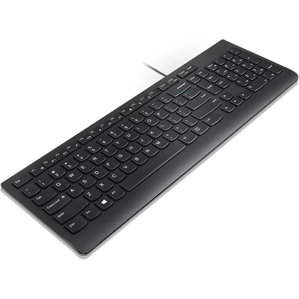 Lenovo Essential klávesnice CZ/SK černá - Klávesnice - Obrázek Y0FD000N01