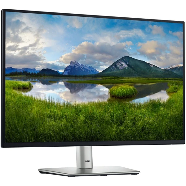 Dell P2425E monitor 24" - Monitory - Obrázek Y4N3000J01