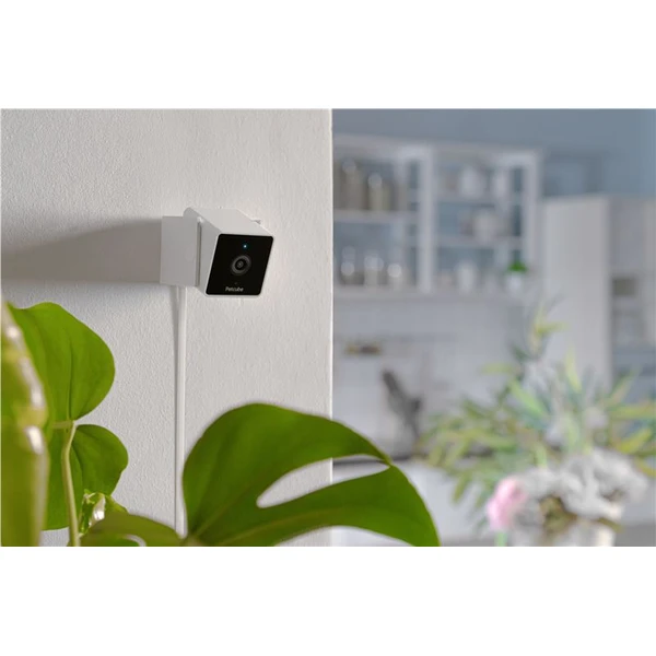 PetCube Cam bezpečnostní kamera - Kamery - Obrázek Y5T5000J01