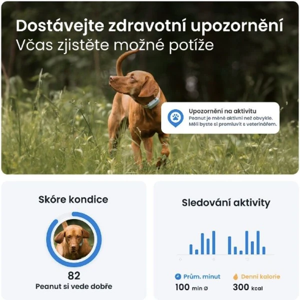 Tractive GPS DOG 6 lokátor polohy a aktivity pro psy mátový - GPS moduly - Obrázek YBTD000L01