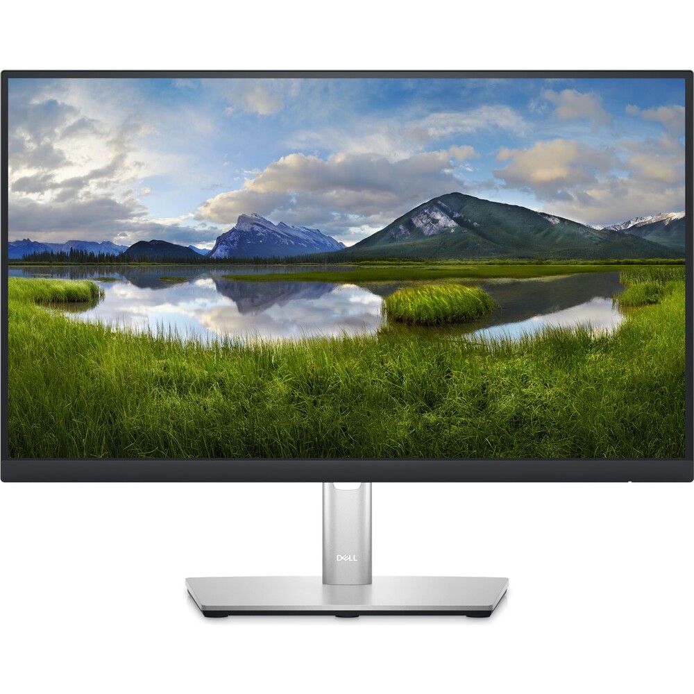 Dell Professional P2223HC monitor 21.5