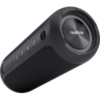 Niceboy RAZE Polaris bezdrátový reproduktor černý - Reproduktory