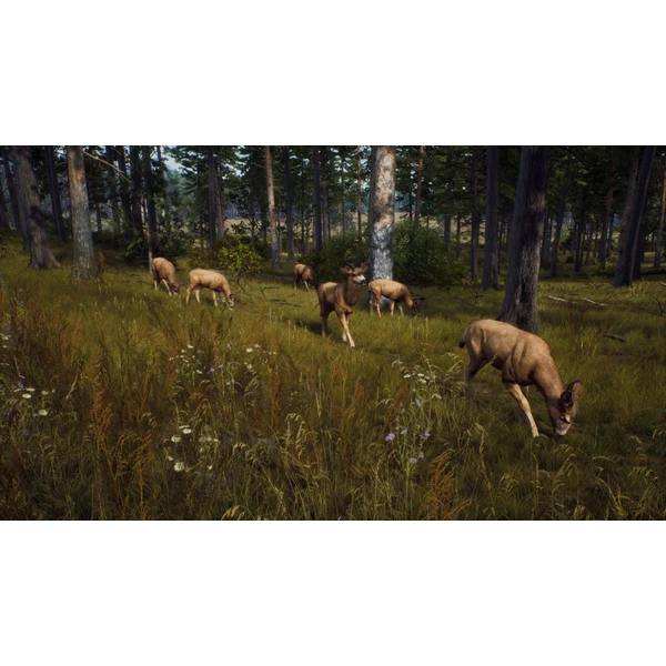 Way of the Hunter (PS5) - Hry pro PS5 - Obrázek Z5PB100501