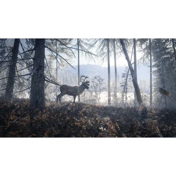 The Hunter: Call of the Wild 2019 Edition (PS4) - Hry pro PS4 - Obrázek ZYXPF00101
