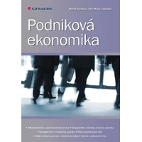 Podniková ekonomika - E-kniha
