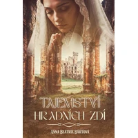 Tajemství hradních zdí - E-kniha
