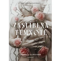 Zaslíbená temnotě - E-kniha