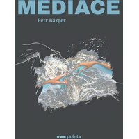 Mediace - E-kniha