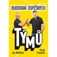 Budování úspěšných týmů - E-kniha