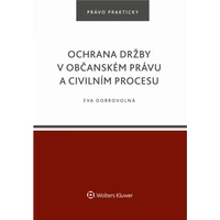 Ochrana držby v občanském právu a civilním procesu - E-kniha
