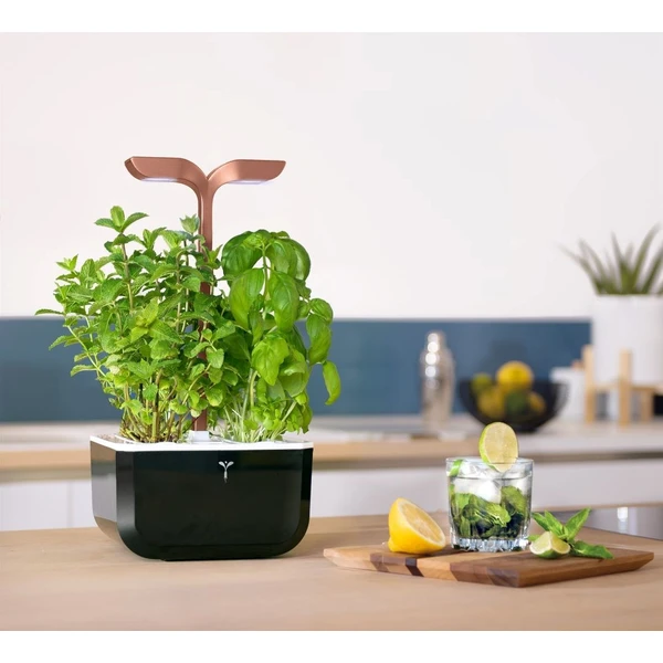 Véritable Exky SMART automatický květináč s regulací osvětlení (2ks Lingot) černý - Květináče - Obrázek a314076b609046d0969fcabf2d8707a3
