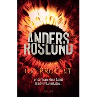 100 procent - E-kniha