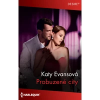 Probuzené city - E-kniha