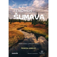 Fenomén Šumava - E-kniha