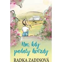 Noc, kdy padaly hvězdy - E-kniha