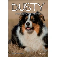 Dusty 5: Nebezpečné prázdniny - E-kniha
