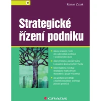 Strategické řízení podniku - E-kniha