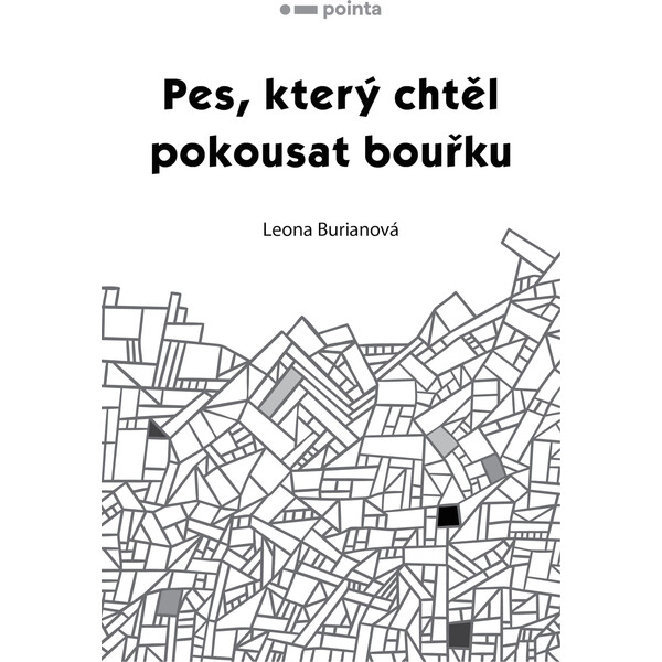 Pes, který chtěl pokousat bouřku