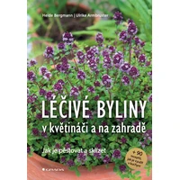 Léčivé byliny v květináči a na zahradě - E-kniha