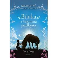 Búrka a tajomná jazdkyňa - E-kniha
