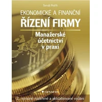 Ekonomické a finanční řízení firmy - E-kniha