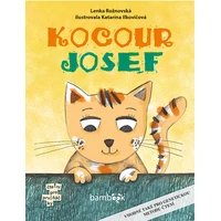 Kocour Josef - E-kniha