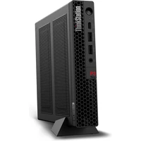 Lenovo ThinkStation P3 Tiny (30H0005ACK) černý - Stolní počítače