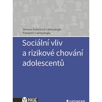 Sociální vliv a rizikové chování adolescentů - E-kniha